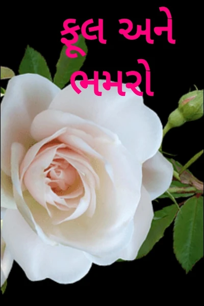 ફૂલ અને ભમરો