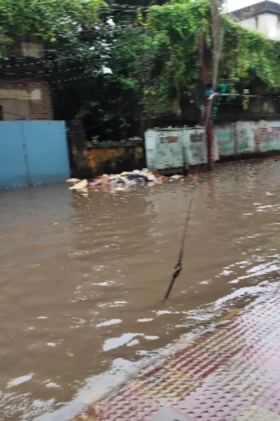 ভীতুর ডিম
