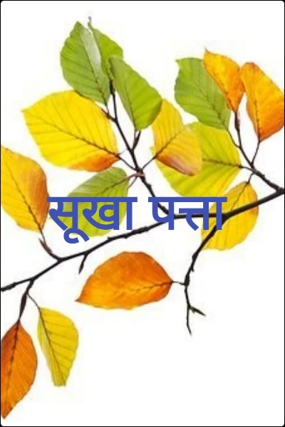 सूखा पत्ता