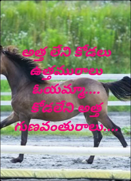 అత్త లేని కోడలు ఉత్తమురాలు ఓయమ్మా.... కోడలేని అత్త గుణవంతురాలు....