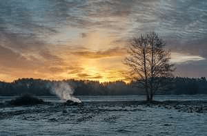 ससुर और बहू