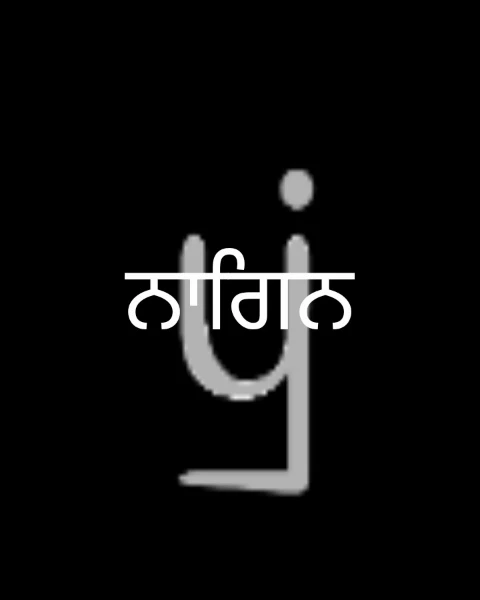 ਨਾਗਿਨ
