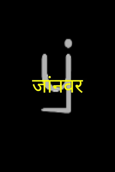 जांनवर