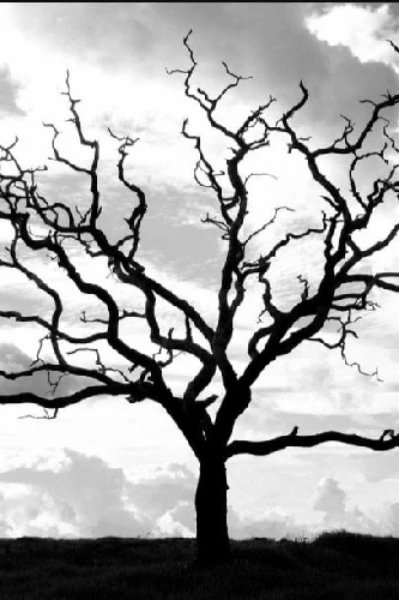 वो सूखा पेड़