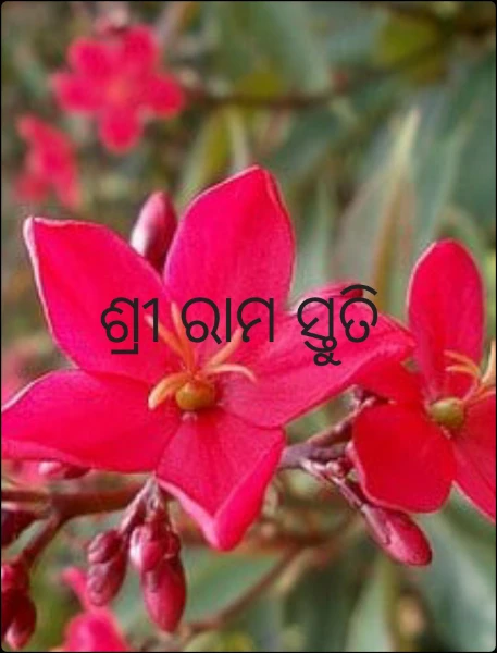 ଶ୍ରୀ ରାମ ସ୍ତୁତି