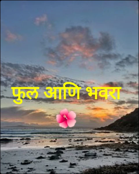 फुल आणि भवरा🌺