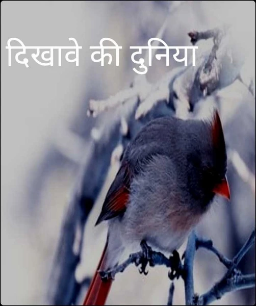 दिखावे की दुनिया