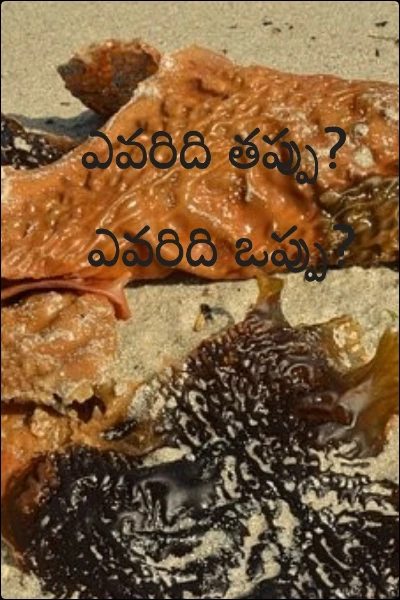 ఎవరిది తప్పు? 
ఎవరిది ఒప్పు?