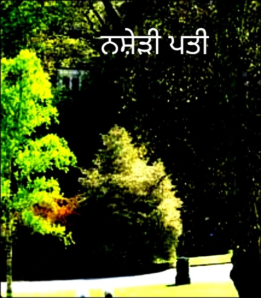 ਨਸ਼ੇੜੀ ਪਤੀ
