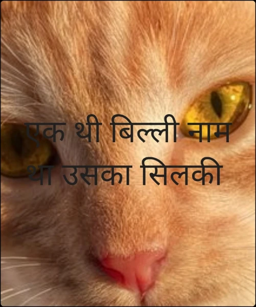 एक थी बिल्ली नाम था उसका सिलकी