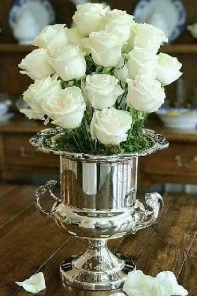 अनमोल प्यार।।