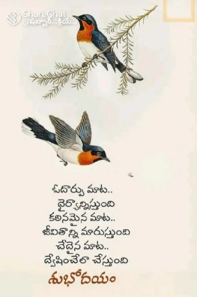 వీరీ వీరీ గుమ్మడి పండు వీరి పేరేమి