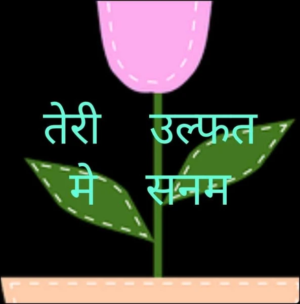तेरी    उल्फत   मे    सनम