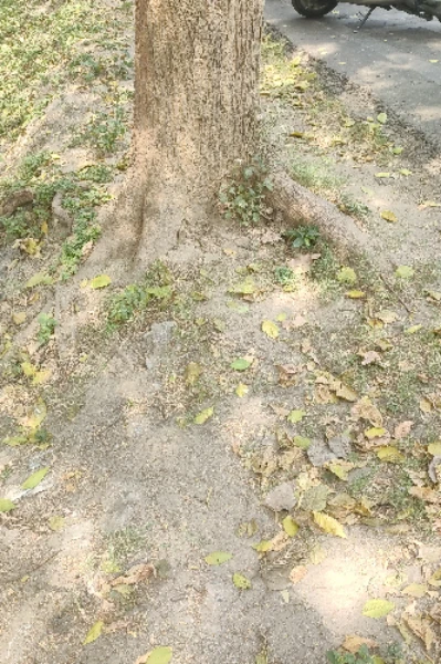 वक्त की गर्दिश