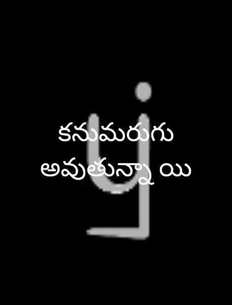 కనుమరుగు అవుతున్నా యి