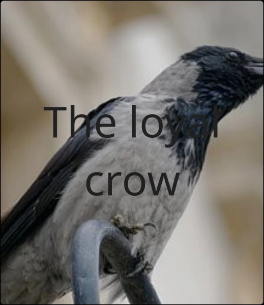 The loyal crow