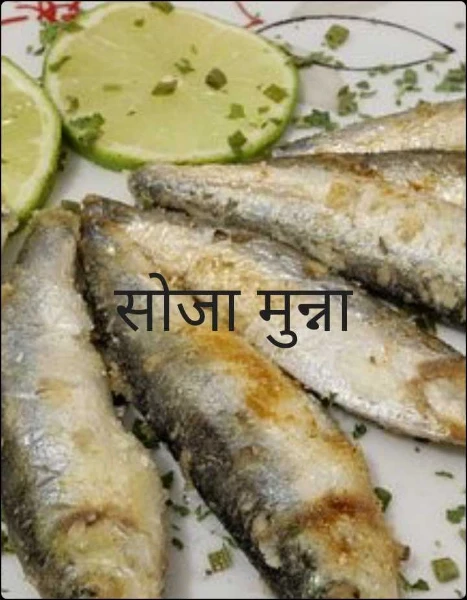 सोजा मुन्ना