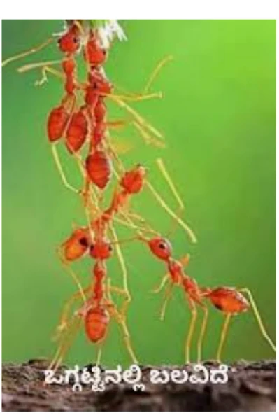 ಒಗ್ಗಟ್ಟಿನಲ್ಲಿ ಬಲವಿದೆ