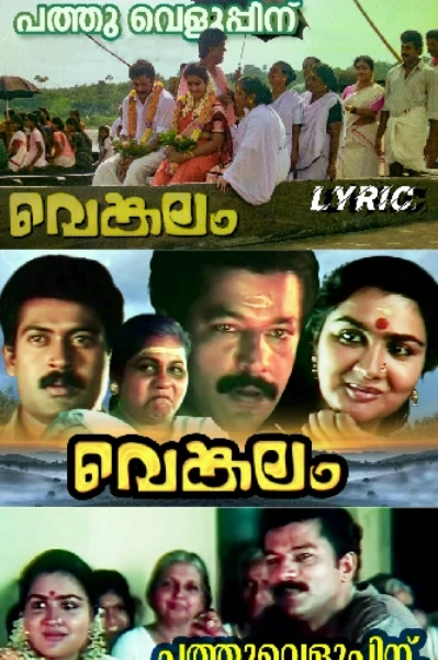 വെങ്കലം 1993