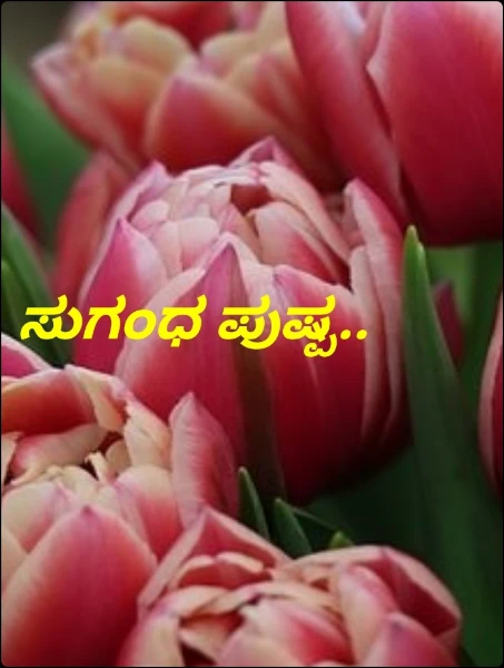 ಸುಗಂಧ ಪುಷ್ಪ..