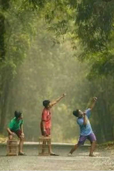 వేసవి కాలం🌞