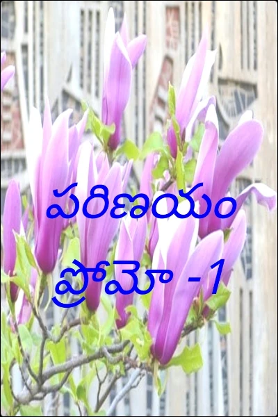 పరిణయం ప్రోమో -1