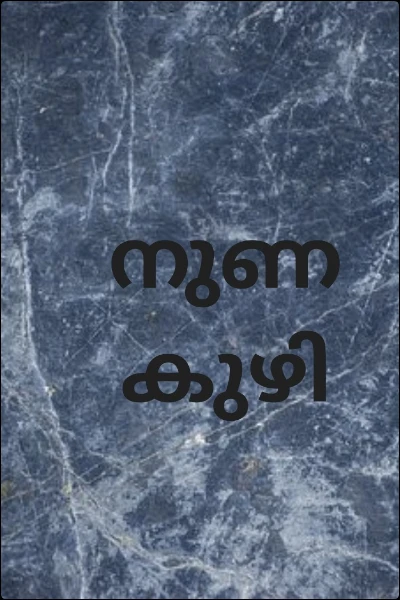 നുണ കുഴി