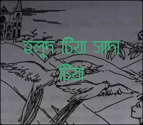 হলুদ টিয়া সাদা টিয়া