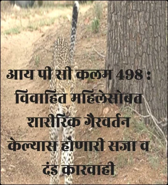 Jamoat transportida gozal ayollar bilan porno