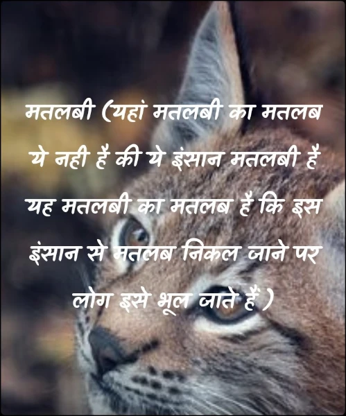 मतलबी (यहां मतलबी का मतलब ये नही है की ये इंसान मतलबी है यह मतलबी का मतलब है कि इस इंसान से मतलब निकल जाने पर लोग इसे भूल जाते हैं )