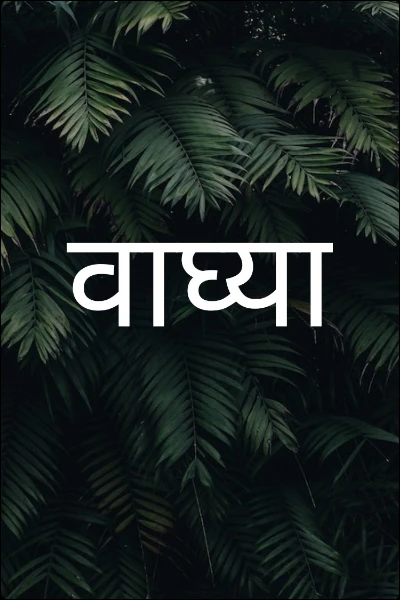 वाघ्या