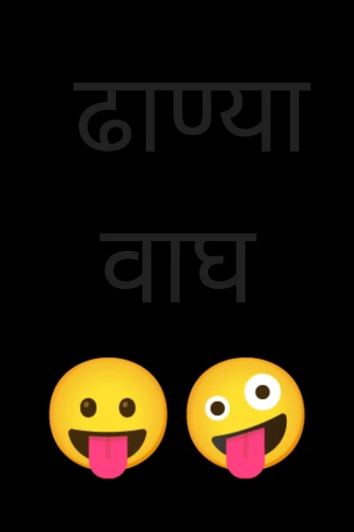 ढाण्या वाघ 😛🤪