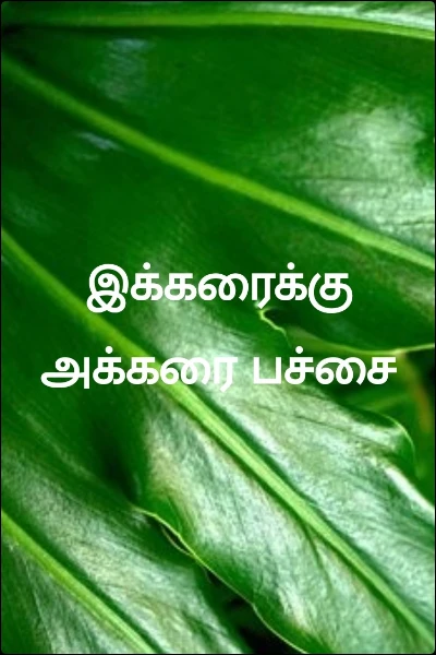 இக்கரைக்கு அக்கரை பச்சை