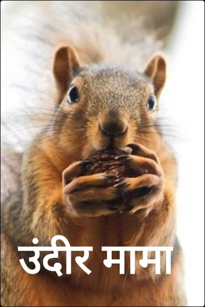उंदीर मामा