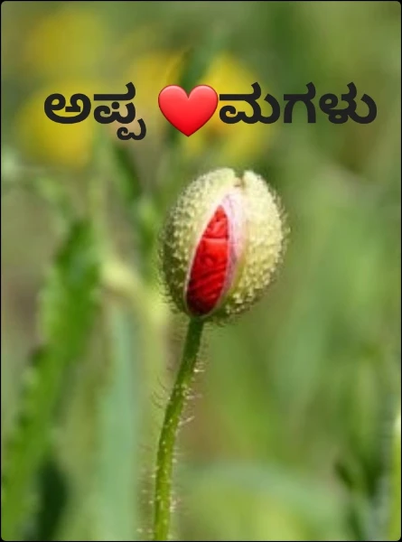 ಅಪ್ಪ ❤️ಮಗಳು