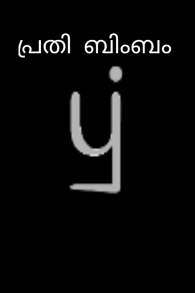 പ്രതി  ബിംബം