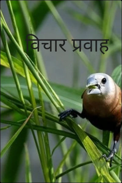 विचार प्रवाह