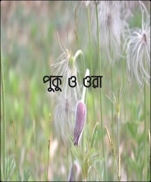 পুকু ও ওরা