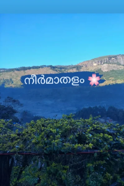 നീർമാതളം promo
