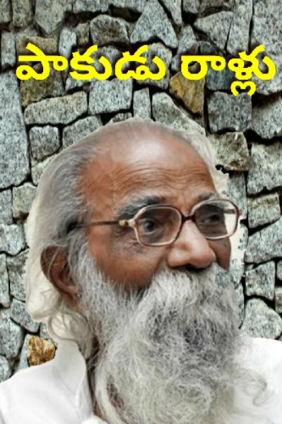 పాకుడు రాళ్లు