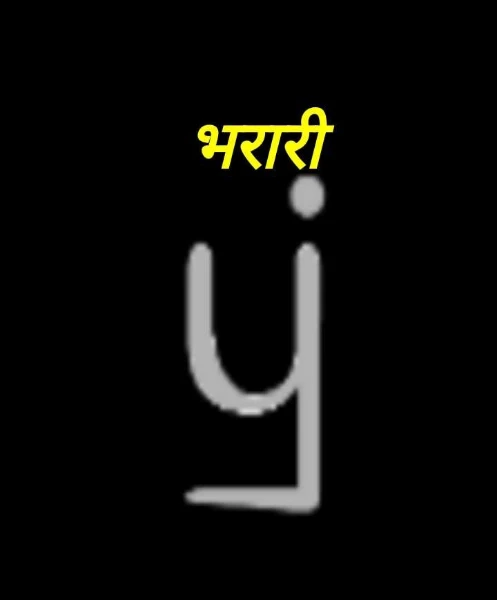 भरारी