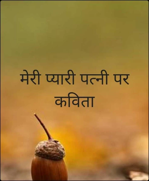 मेरी प्यारी पत्नी पर कविता