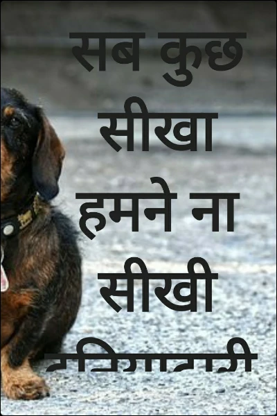 सब कुछ  सीखा हमने ना सीखी दुनियादारी