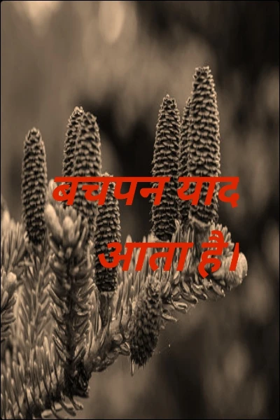 बचपन याद आता है।