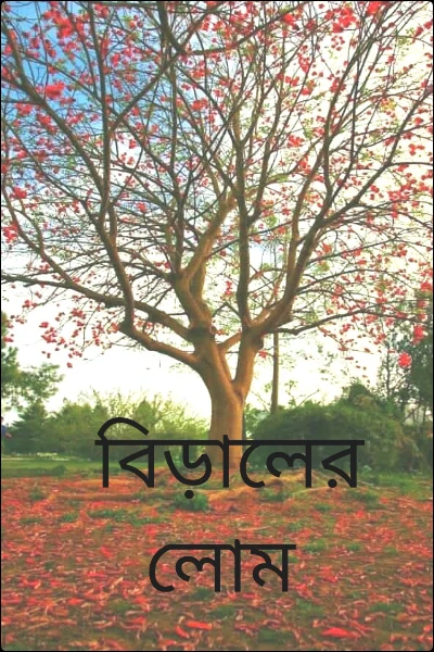 বিড়ালের লোম