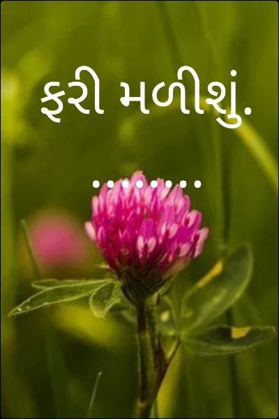 ફરી મળીશું.........