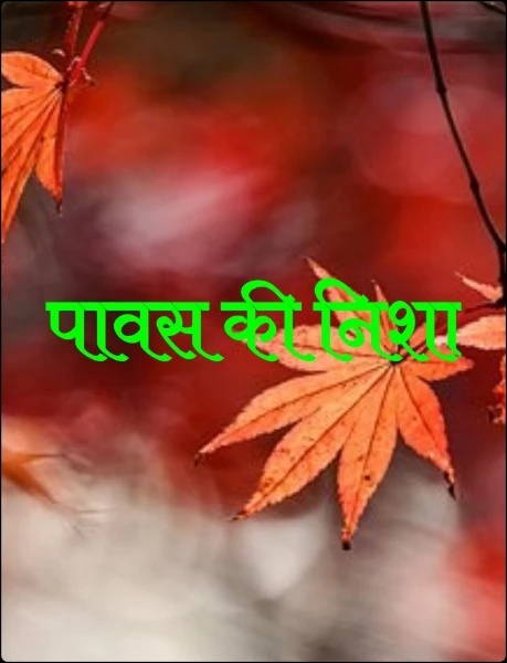 पावस की निशा