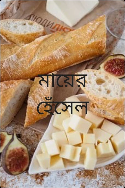 মায়ের হেঁসেল