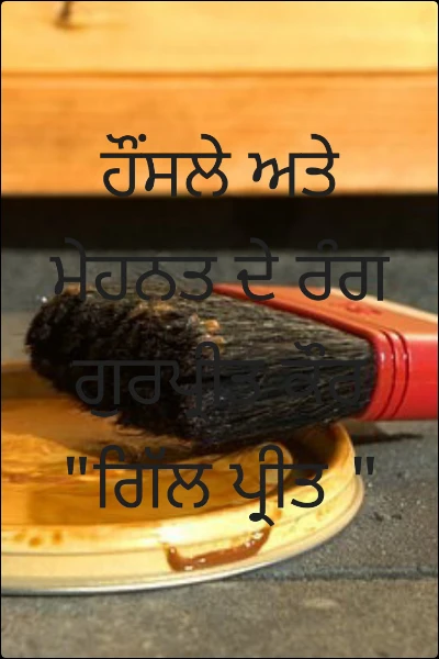 ਹੌਂਸਲੇ ਅਤੇ ਮੇਹਨਤ ਦੇ ਰੰਗ           ਗੁਰਪ੍ਰੀਤ ਕੌਰ "ਗਿੱਲ ਪ੍ਰੀਤ "