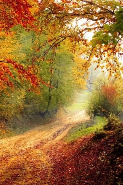 Pooja and Dev! A tale of different love! Part 1